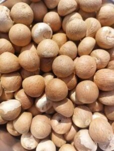 Betel nut