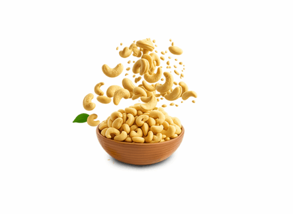 Cashew nut