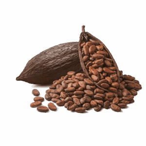 Cocoa Beans