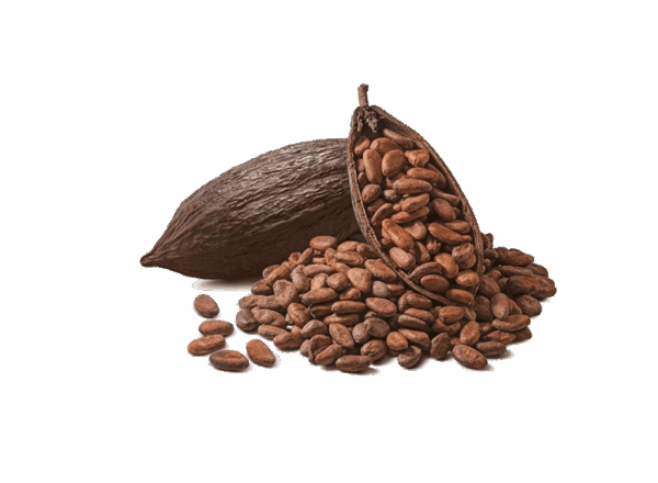 Cocoa Beans