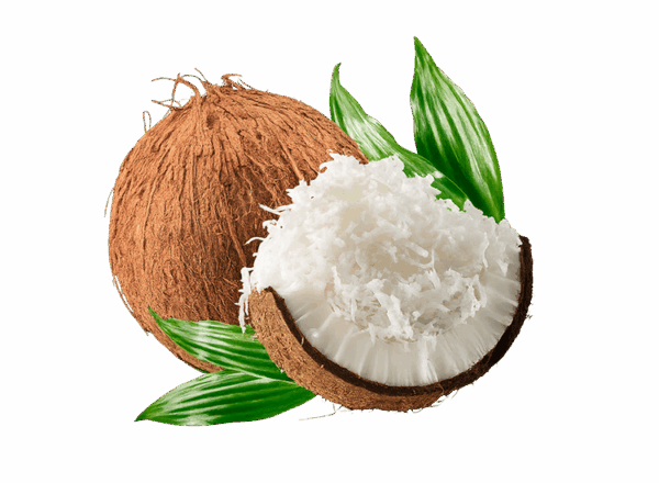 Desiccated Coconut