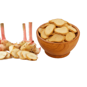 Galangal