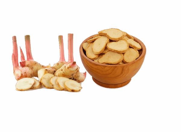Galangal
