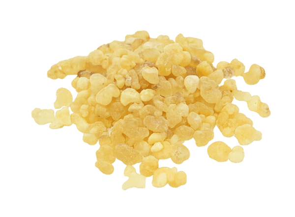 Gum Copal