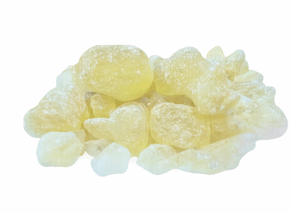 Gum Damar