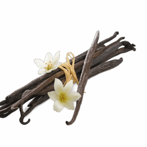 Vanilla Beans