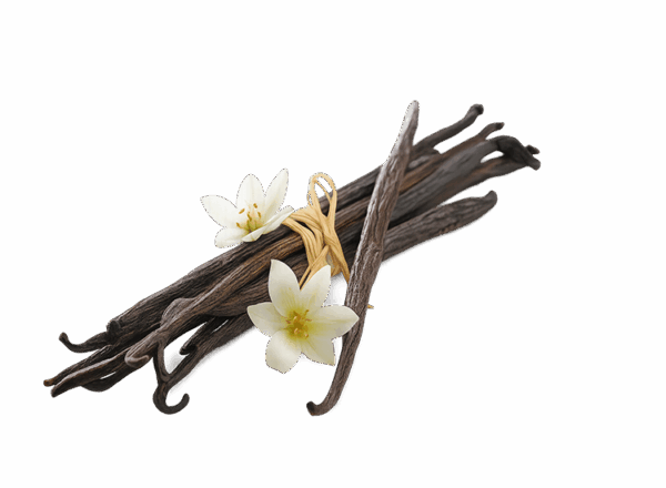 Vanilla Beans