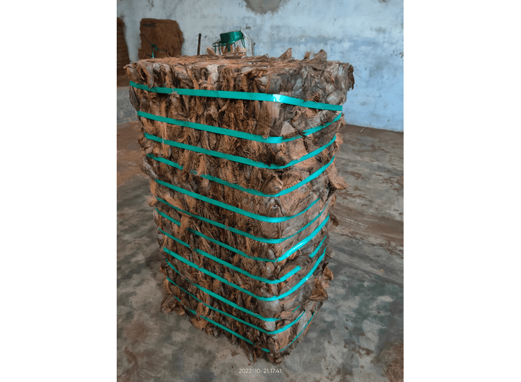 Coconut Husk - Image 2