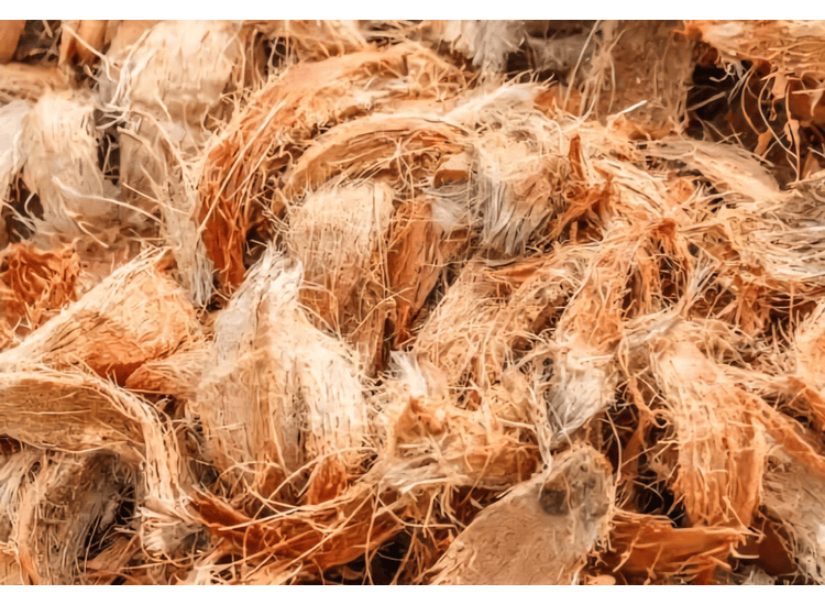 Coconut Husk - Image 3