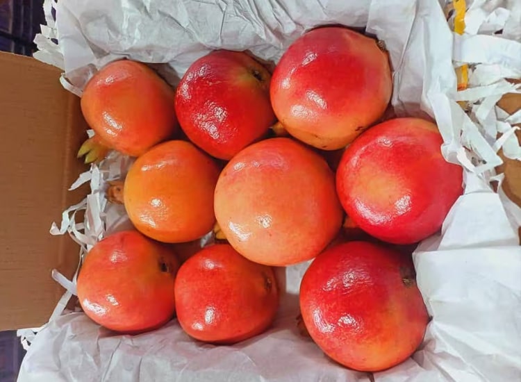 Fresh Fruit - Image 2