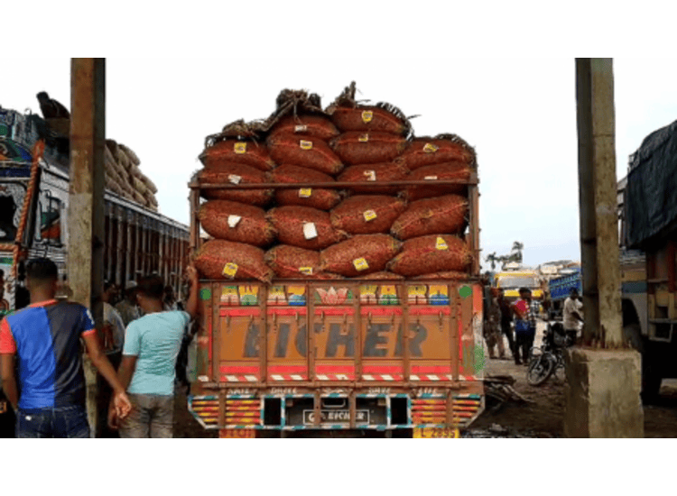 Green chilli - Image 2