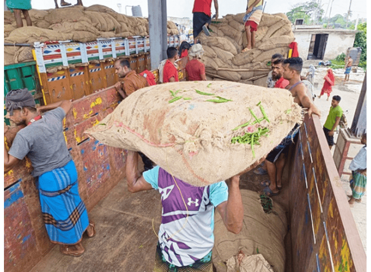 Green chilli - Image 3