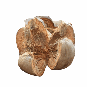 Coconut Husk